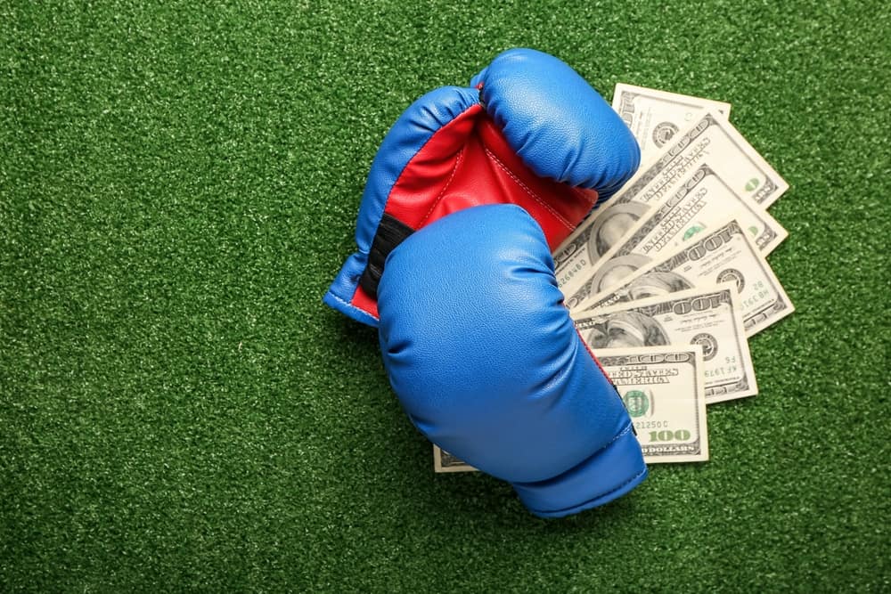 how-much-do-professional-boxers-get-paid-inc-per-fight-ny-boxing-gym